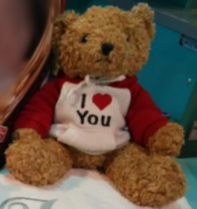 Oso de peluche con nombre 2025 bordado